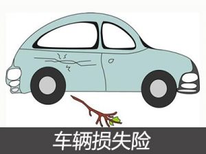 车损险