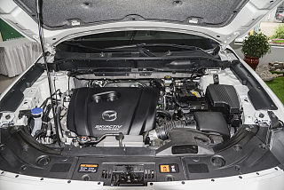 2.5L 四驱尊享型