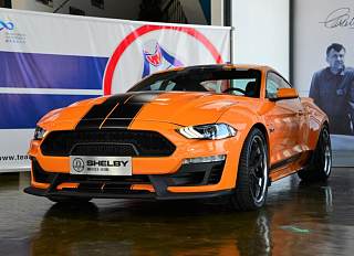 SHELBY GTE