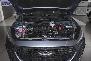 PLUS 1.5L 手动尽兴松子版