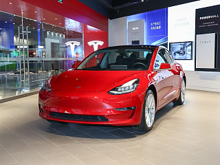 Model 3(进口)