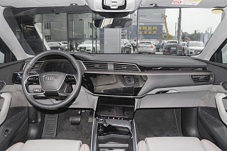 奥迪e-tron(进口)中控