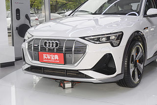 奥迪e-tron(进口)其他
