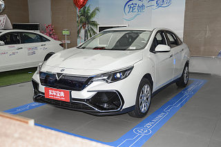 D60EV