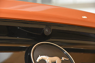 Mustang其他