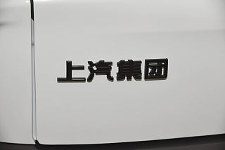上汽大通MAXUS D90 Pro其他