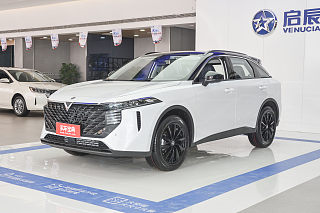 大V