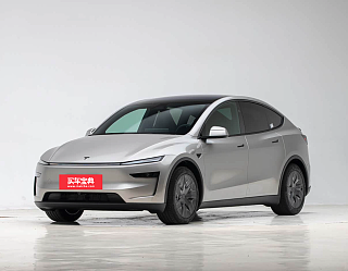 Model Y L