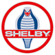 SHELBY GTE