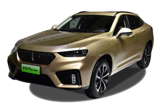 魏牌 VV7 GT新能源