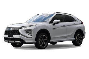 奕歌新能源(海外)