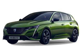 308新能源(进口)