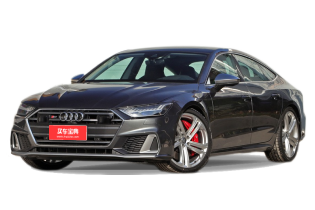 2.9 TFSI quattro 竞技限量版