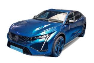 408新能源(海外)