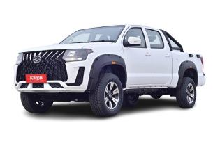 黄海蛟龙新能源